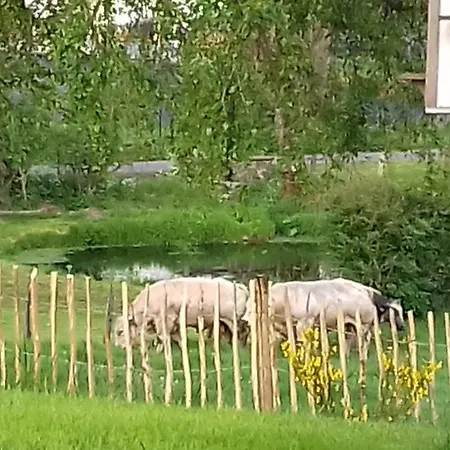 La Ferme De Ferienhaus *